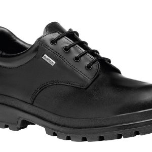 Zapato de Seguridad ROBUSTA GTX WINTER