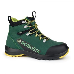 Bota de seguridad ROBUSTA NEXT POWER GTX B301